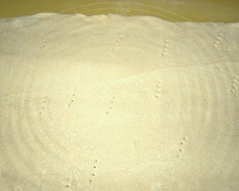 Puff pastry cheese 1