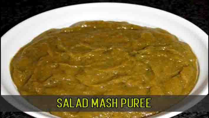 Salad Mash Puree