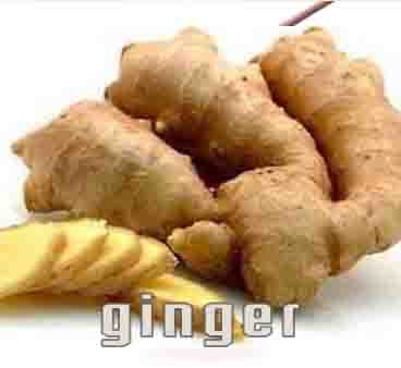 ginger-herbal